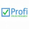 Profi Online Research