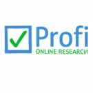 Profi Online Research